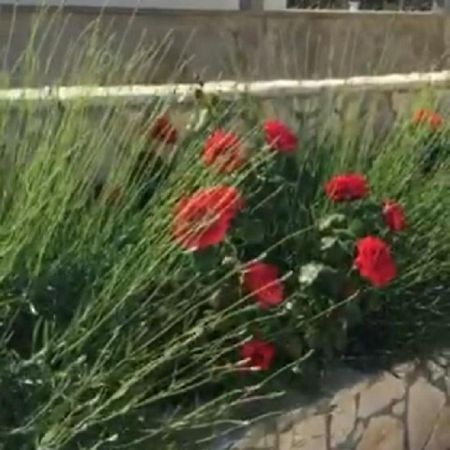 Miro Apartmani Ražanac 外观 照片