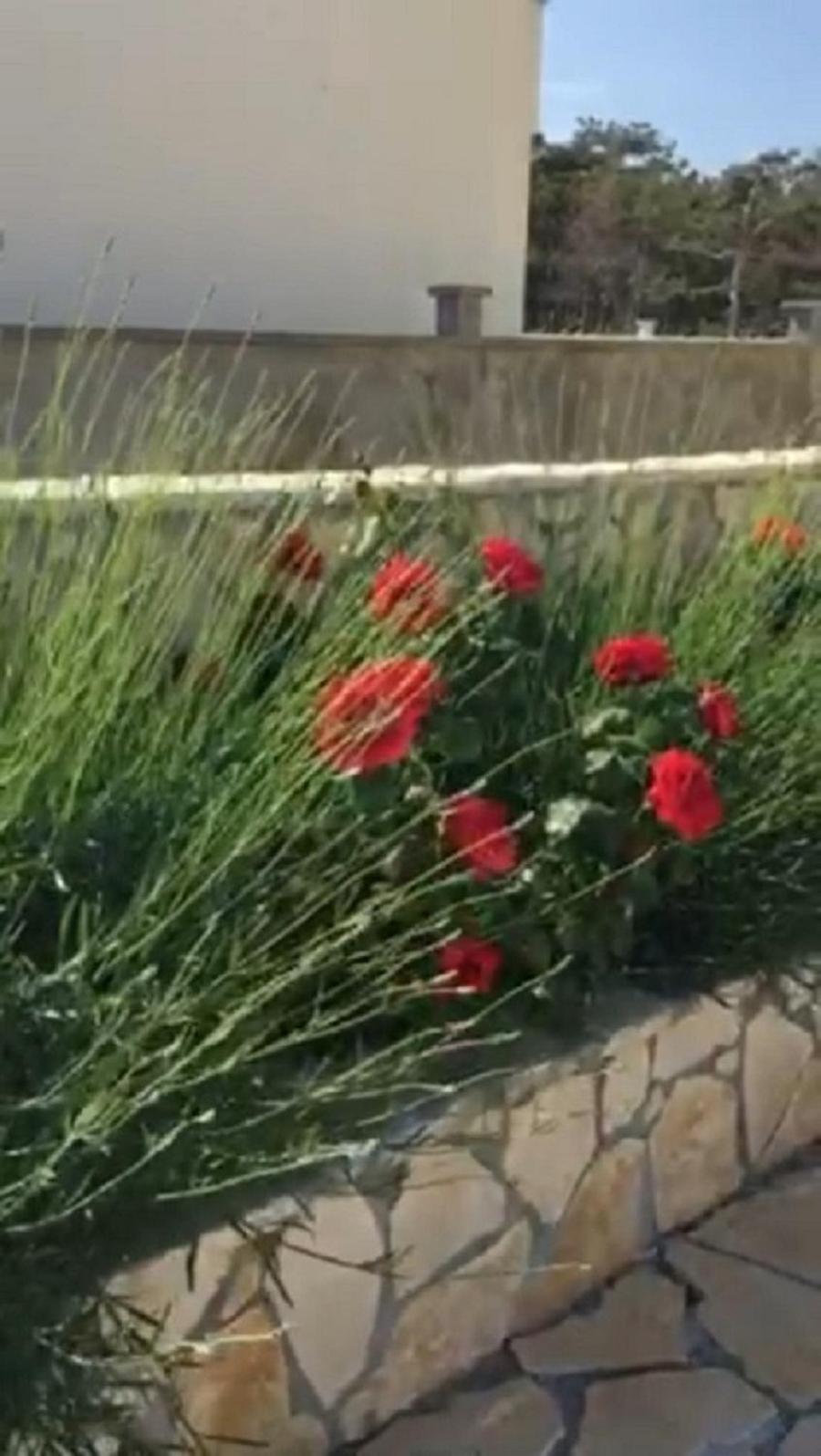 Miro Apartmani Ražanac 外观 照片
