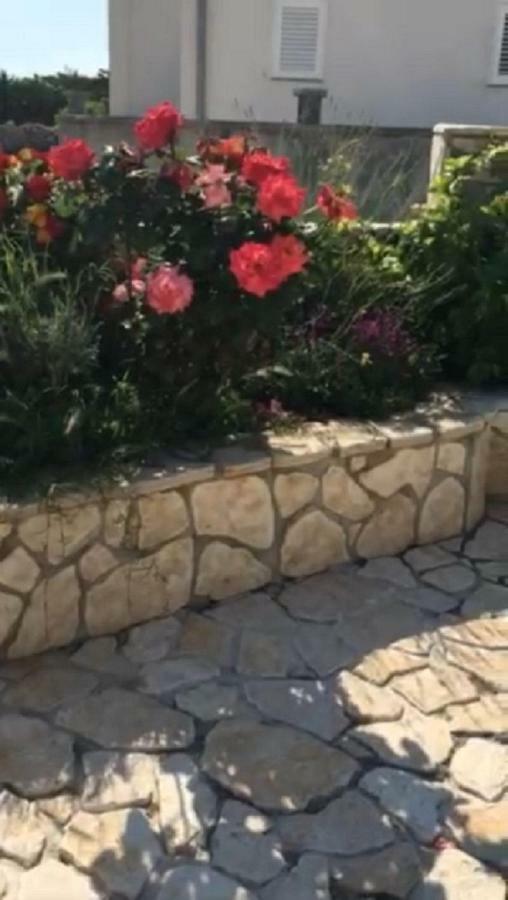 Miro Apartmani Ražanac 外观 照片
