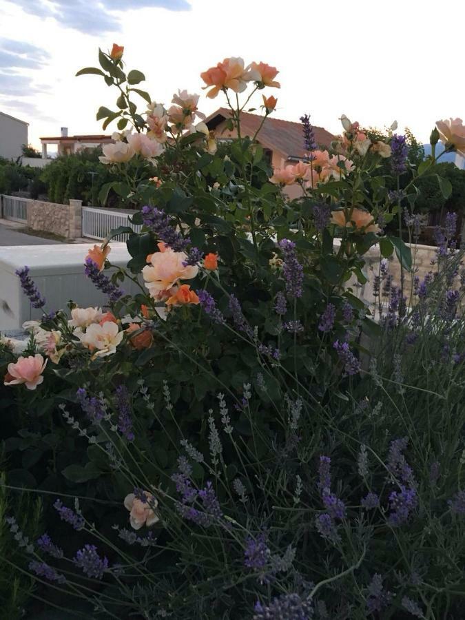 Miro Apartmani Ražanac 外观 照片